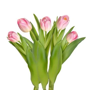 Tulips decorative border. EPS 10 Illustrazione stock