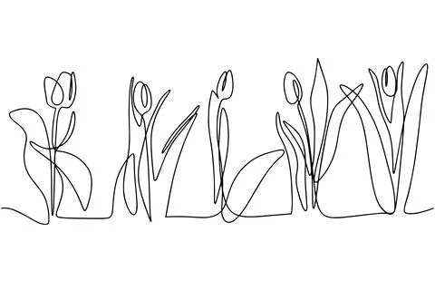 Tulips drawn in one line. Vector illustration isolated on a white background Stock Illustration