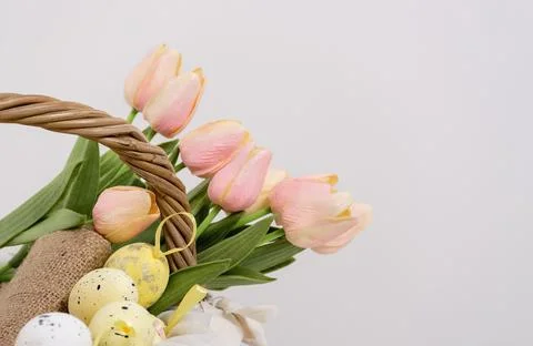 Tulips with Easter eggs in basket Stock Photos
