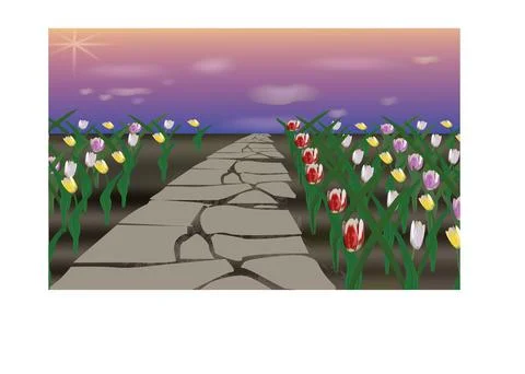 Tulip's field along stone path Stock Illustration