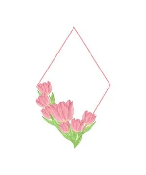 Tulips floral lozenge frame, first spring flowers watercolor illustration Stock Illustration