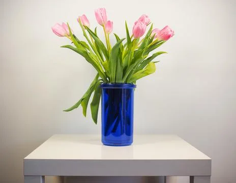 Tulips flower Foto stock