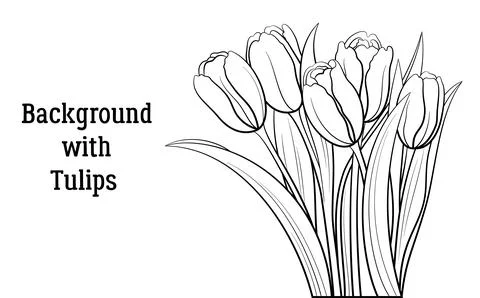 Tulips Flowers Contours Stock Illustration