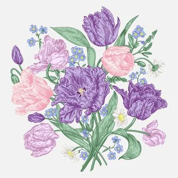 Tulips flowers. 스톡 일러스트
