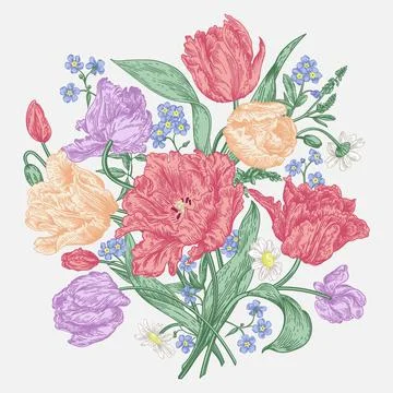 Tulips flowers. Illustrazione stock