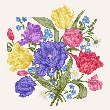 Tulips flowers. Illustrazione stock