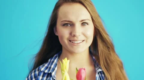 Tulips Stockbeeldmateriaal 21474277