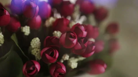 Tulips Video stock 32170226