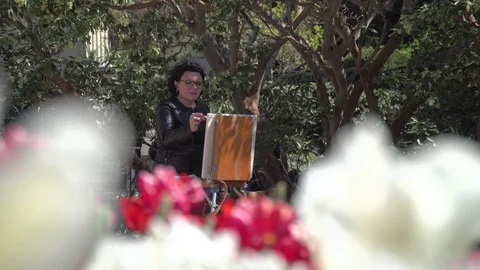 Tulips Stock Footage 102398114