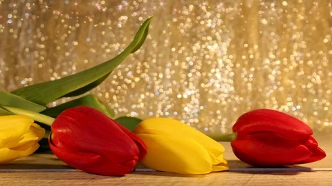 Tulips 動画素材 126203423