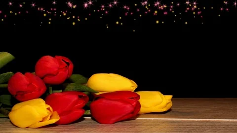 Tulips Stock Footage 126203425