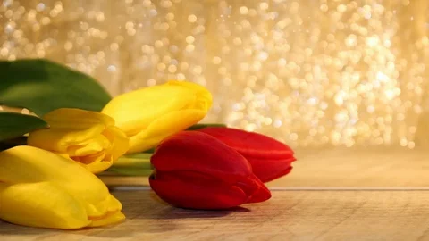 Tulips Stock Footage 126203435