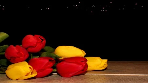 Tulips Stock Footage 126203436