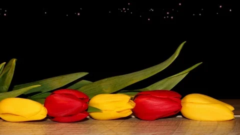 Tulips Stock Footage 126203440