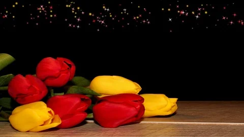 Tulips Stock Footage 126203450