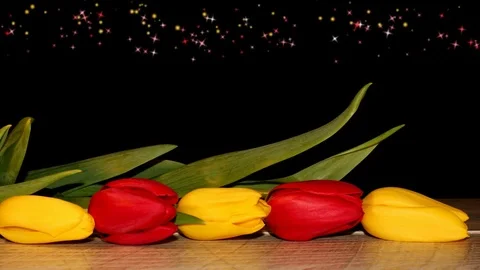 Tulips Stock Footage 126203457