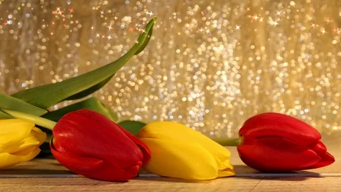 Tulips Stock Footage 126203460