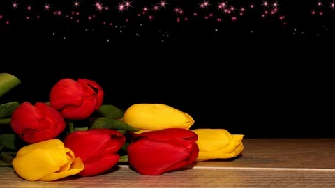 Tulips Stock Footage 126203467