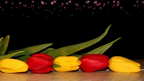 Tulips Stock Footage 126203472