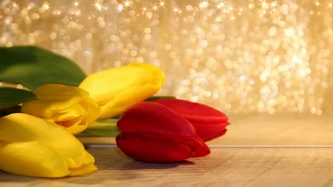 Tulips Stock Footage 126203473