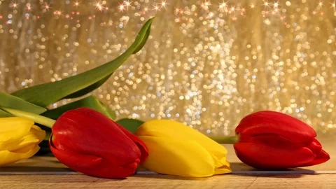 Tulips Stock Footage 126203474