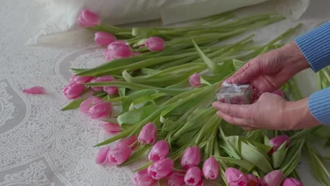 Tulips Stock Footage 304155664