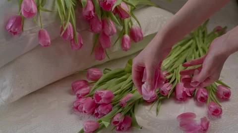 Tulips Stock Footage 304156096