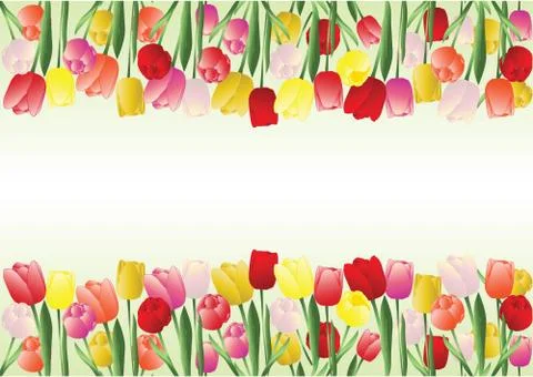 Tulips frame Stock Illustration