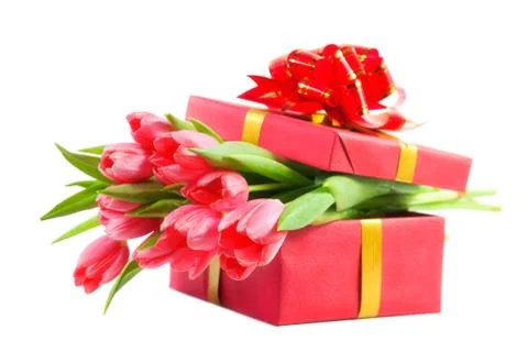 Tulips in a gift box Stock Photos
