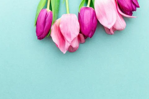Tulips on a green spring background. Foto stock