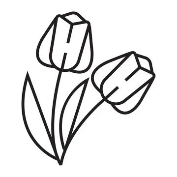 Tulips icon vector in line style. A bouquet of flowers is a sign. Two flowers Illustrazione stock