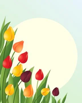 Tulips Stock Illustration