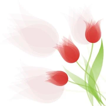 Tulips Stock Illustration