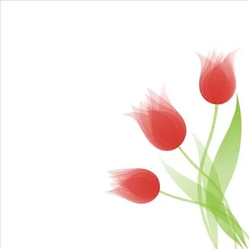 Tulips Stock Illustration
