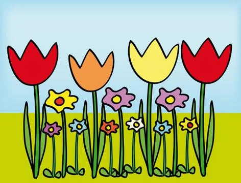 Tulips Stock Illustration