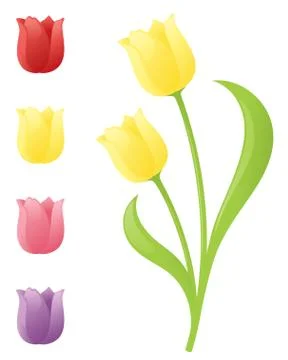 Tulips Stock Illustration