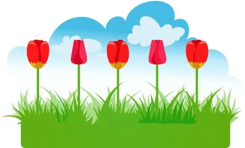 Tulips Stock Illustration