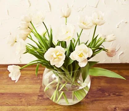 Tulips Stock Illustration