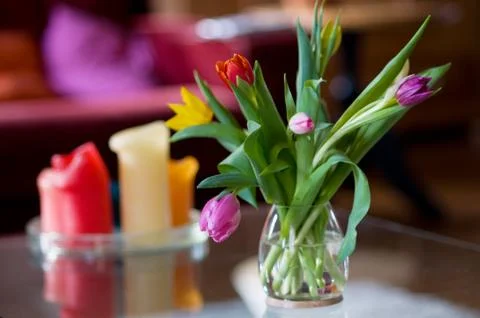 Tulips in interior Stock Photos