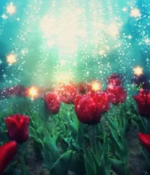 Tulips in Magic Light 스톡 일러스트