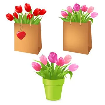 Tulips in package Stock Illustration