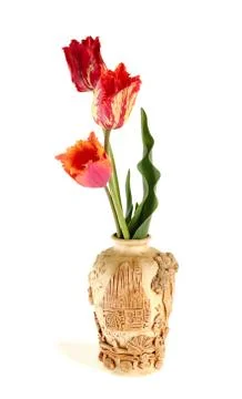 Tulips Foto stock