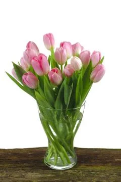 Tulips Stock Photos