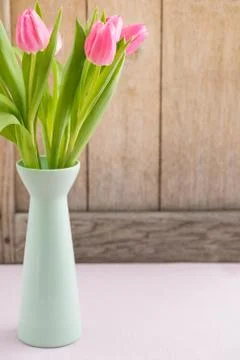 Tulips Stock-Fotos