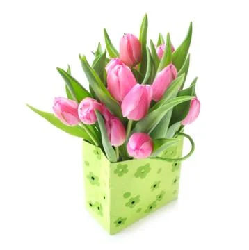 Tulips Stock Photos
