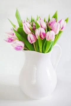 Tulips Stock Photos