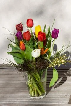 Tulips Stock Photos