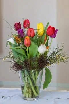 Tulips Foto stock