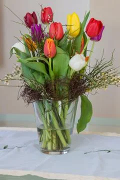 Tulips Foto stock