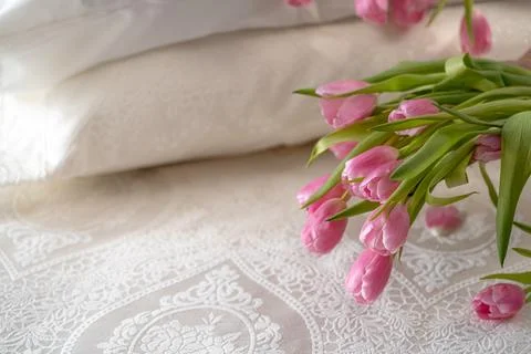 Tulips Stockfoto's